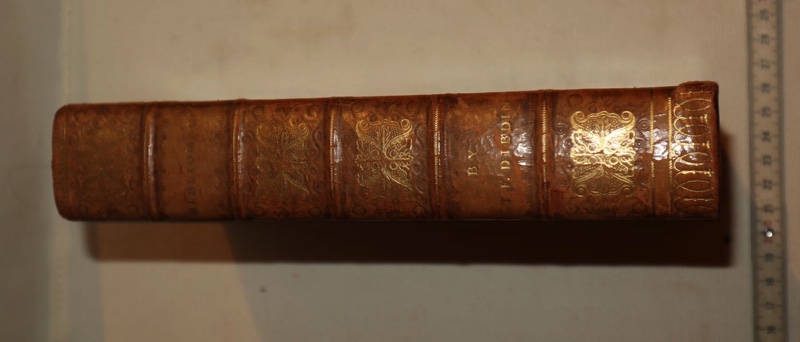Bibliomania or Book of Madness Buch antik London 1811