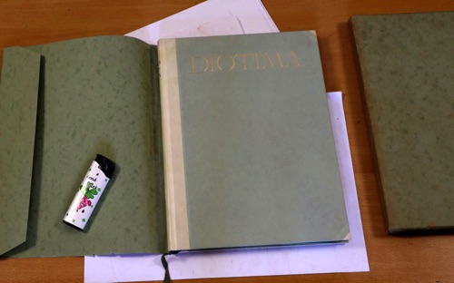 Briefe diotima Buch