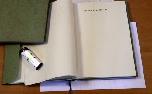 Briefe diotima Buch