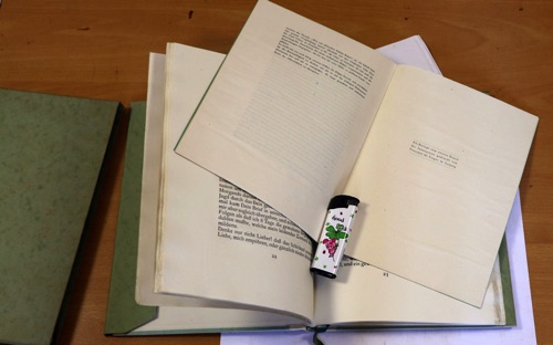 Briefe diotima Buch
