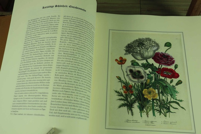 Buch the ladies flowergarden Margot Schubert Battenberg 1980