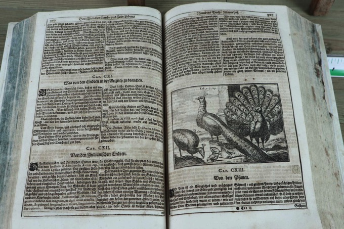 Georgica Curiosa oder Nürnberg 1687
