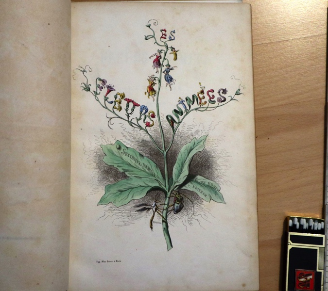 Les Fleurs Grandville Paris