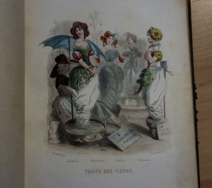 Les Fleurs Grandville Paris