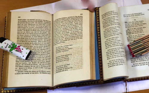 Novalis Schriften 2 Bände Bücher