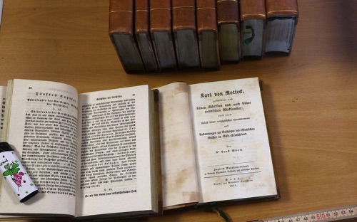 Rottecks allgemeine Geschichte 10 Bände Bücher
