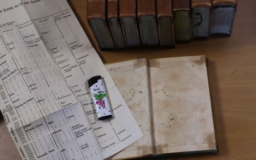 Rottecks allgemeine Geschichte 10 Bände Bücher
