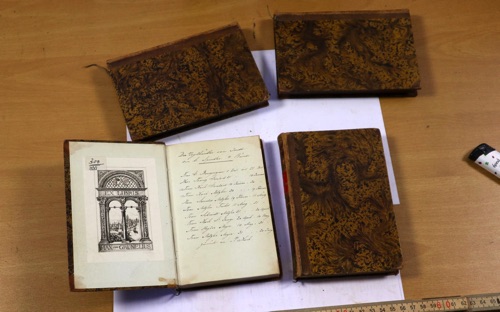 Spindlers Vogelhändler 4 Bände Bücher