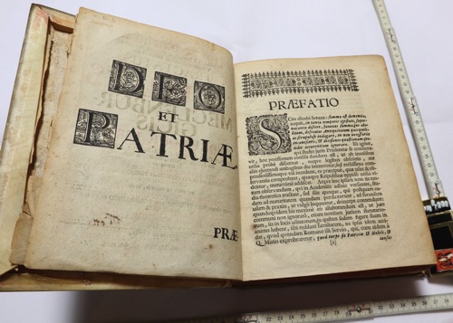 Tractatus de feudis Mecklenburgicis Buch antik 1708