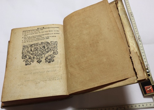 Tractatus de feudis Mecklenburgicis Buch antik 1708