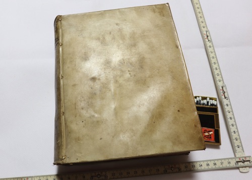 Tractatus de feudis Mecklenburgicis Buch antik 1708