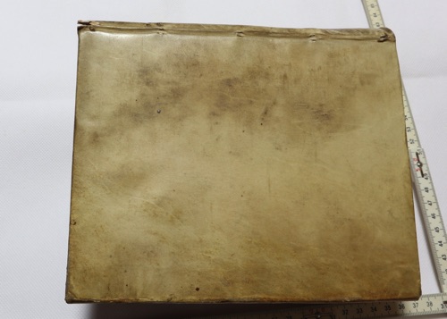 Tractatus de feudis Mecklenburgicis Buch antik 1708