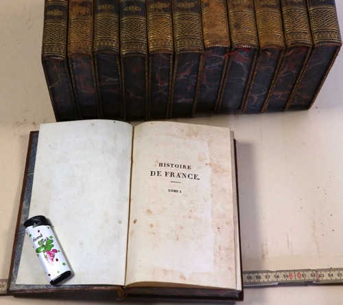 histoire de france anquetil 12 Bände Bücher