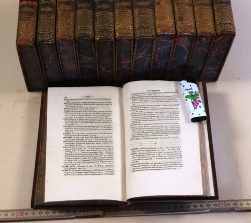 histoire de france anquetil 12 Bände Bücher