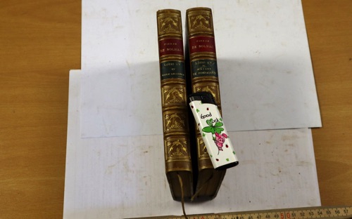 nolhac louis 2 Bände Bücher