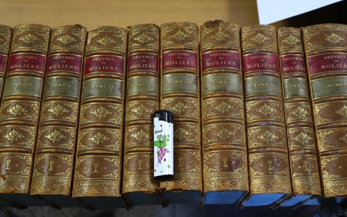 oeuvres de moliere 1873 Paris 13 Bände Bücher