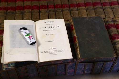 oeuvres de voltaire 41 Bände 1818 Paris Bücher