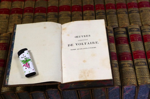 oeuvres de voltaire 41 Bände 1818 Paris Bücher