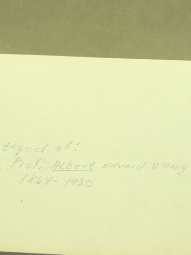 Albert Edward Wang Zeichnung antik 1893 Boller Strand