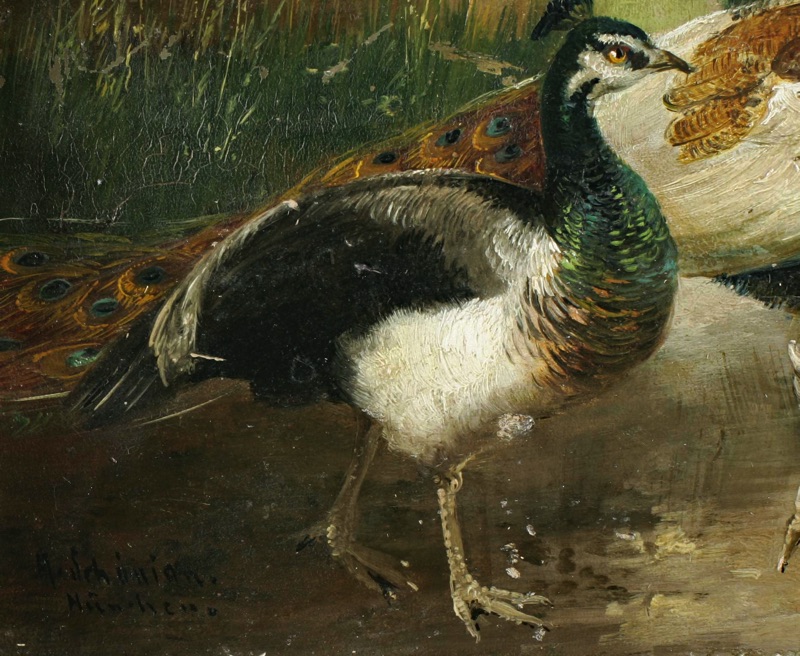 Alfred Schönian Ölgemälde antik Pfau Enten