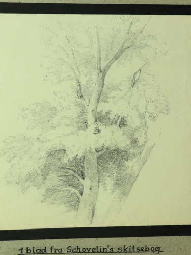 Axel Thorsen Schovelin Zeichnung antik Baum Skizze