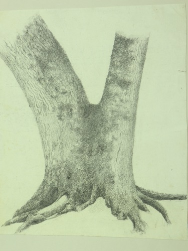 Frans Schwartz Zeichnung antik Baum Baumstamm
