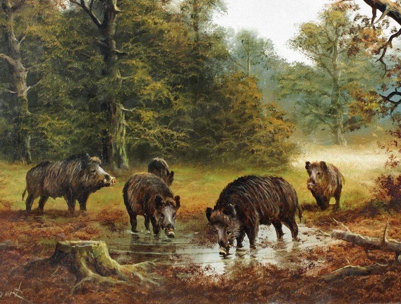 Gerhard Zank Ölgemälde Wildschweine Keiler Wald