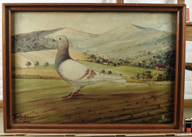 Heckmans Ölgemälde antik 1902 Taube Brieftaube