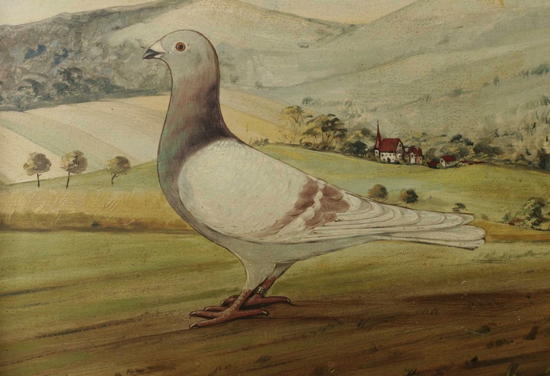Heckmans Ölgemälde antik 1902 Taube Brieftaube