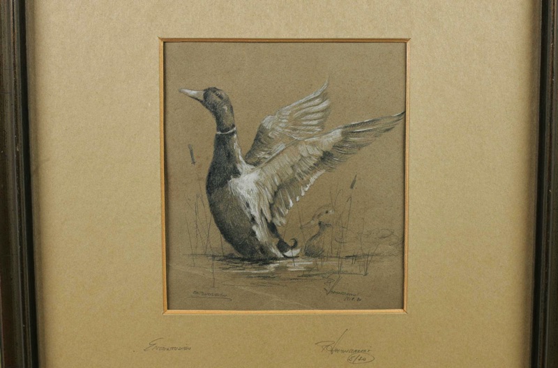 Hevenschmidt antike Zeichnung Ente Portrait 1880