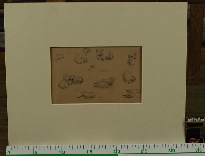 Zuschreibung Jakob Fürchtegott Dielmann 1809-1885 Zeichnung antik Studie Schaf 2