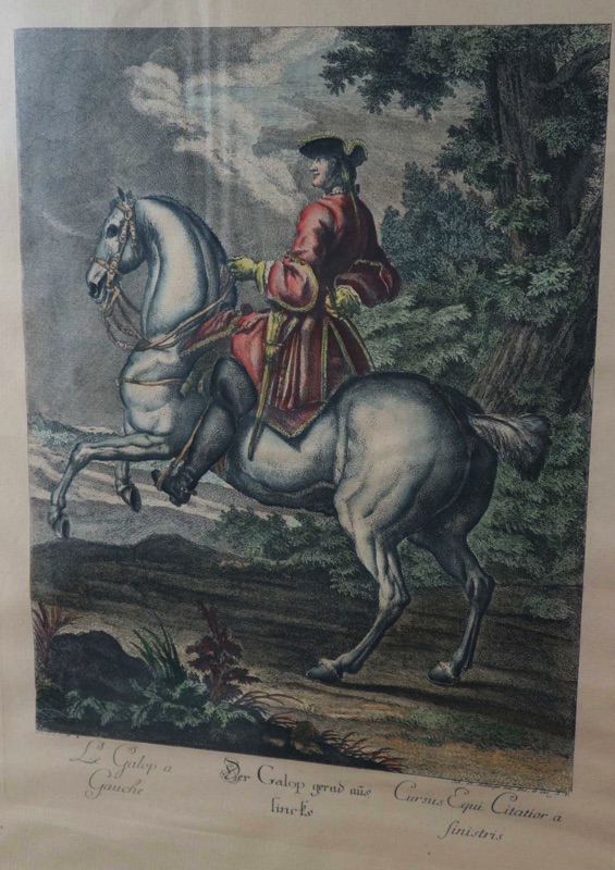 Johann Elias Ridinger Kupferstich der Galop gerad aus lincks