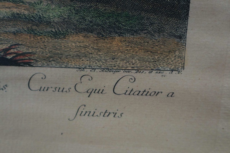 Johann Elias Ridinger Kupferstich der Galop gerad aus lincks