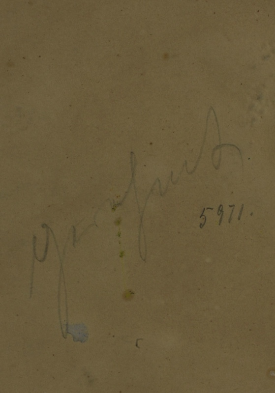 Karl Heinz Taeger Ölgemälde antik 1909 Ginzling Felsen Wald Bach