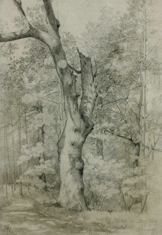 Leberecht Zeichnung antik Wald Bäume 1920
