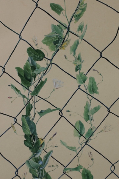 Otto Wulk Aquarell Winden Zaun Blumen