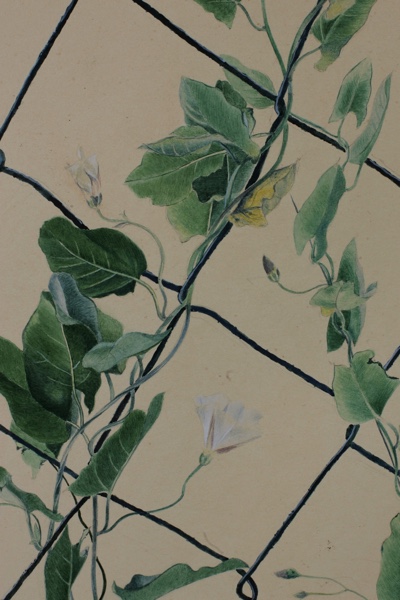 Otto Wulk Aquarell Winden Zaun Blumen