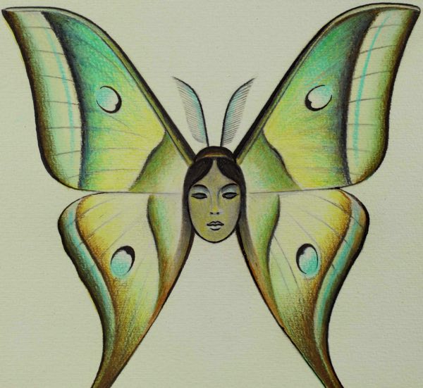 Wolfgang Oppermann Zeichnung Schmetterling Frau 1982