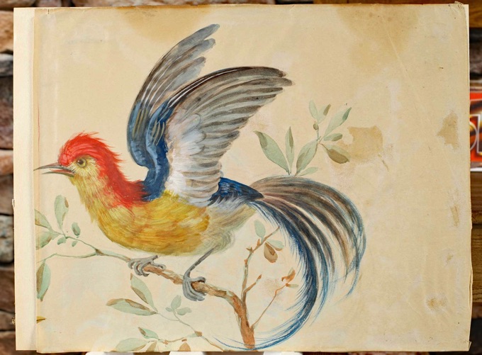 antikes Aquarell exotischer Vogel