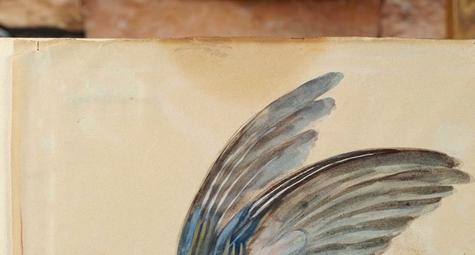 antikes Aquarell exotischer Vogel