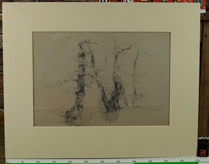 Zuschreibung Adolf Johann Hoeffler 1825-1898 Zeichnung antik Wald Bäume Studie 8