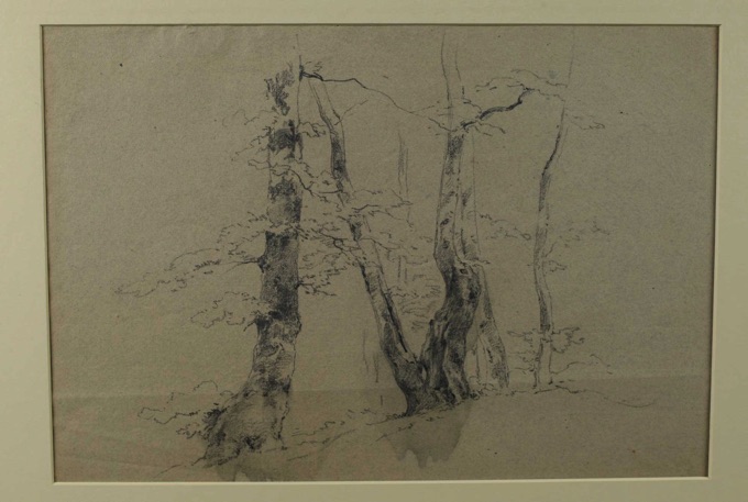 Adolf Johann Hoeffler Zuschreibung Zeichnung Baumstudie antik 8
