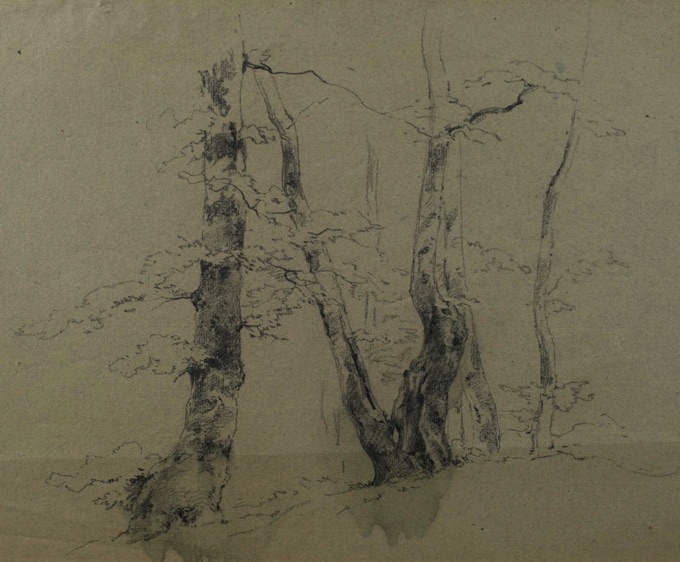 Adolf Johann Hoeffler Zuschreibung Zeichnung Baumstudie antik 8