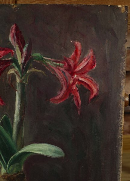 Wilhelm Raab Zuschreibung Stillleben Amaryllis