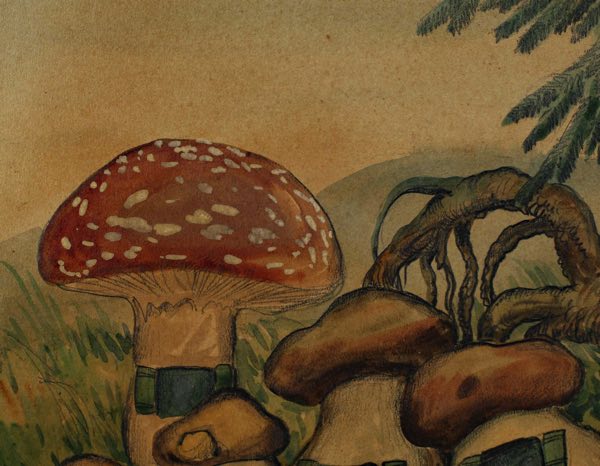signiert Aquarell Pilze Pilzdorf
