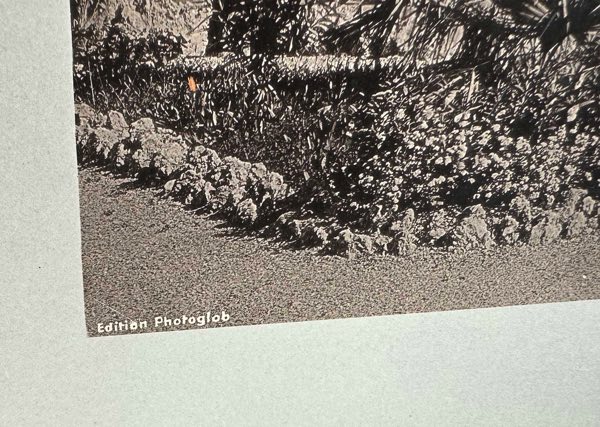 Albumin Fotos antik Edition Photoglob Riva 4